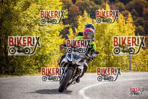 Forca d Acero 18-10-25 h12-18 0262