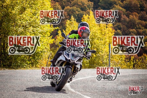 Forca d Acero 18-10-25 h12-18 0263