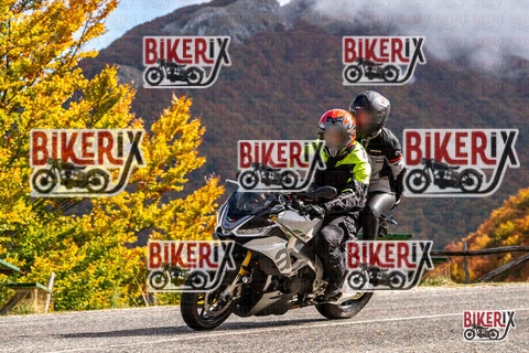 Forca d Acero 18-10-25 h12-18 0267