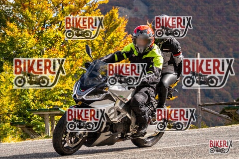 Forca d Acero 18-10-25 h12-18 0269