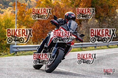 Forca d Acero 18-10-25 h12-25 0294