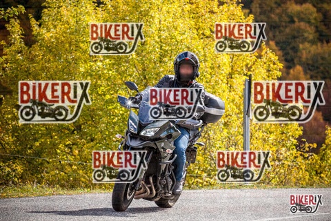 Forca d Acero 18-10-25 h12-36 0303