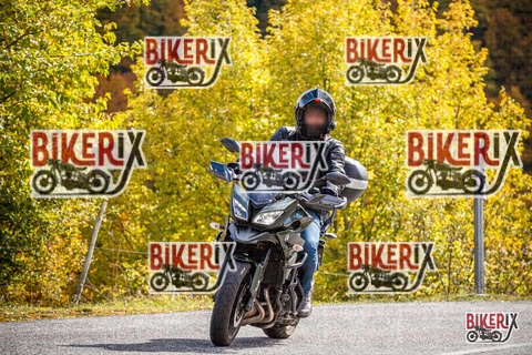 Forca d Acero 18-10-25 h12-36 0304