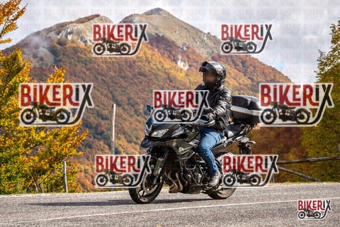 Forca d Acero 18-10-25 h12-36 0311