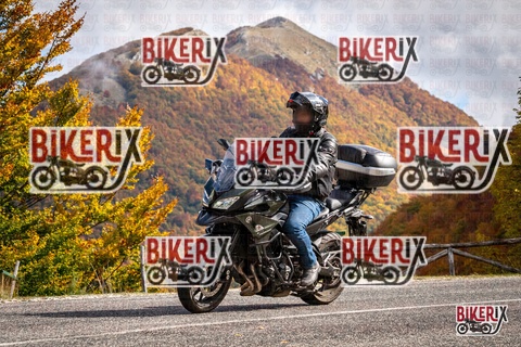 Forca d Acero 18-10-25 h12-36 0312