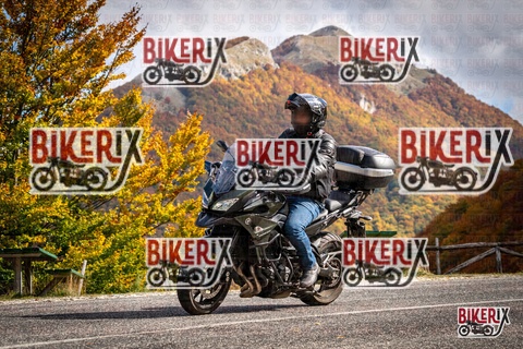 Forca d Acero 18-10-25 h12-36 0313