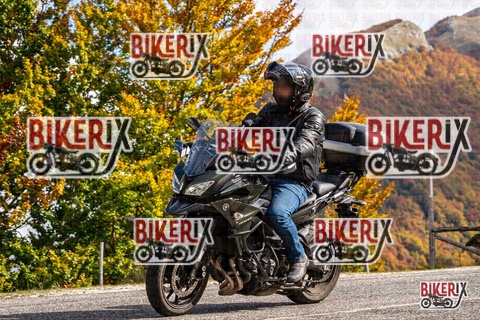 Forca d Acero 18-10-25 h12-36 0315