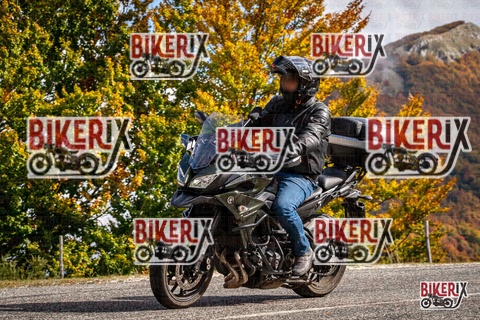 Forca d Acero 18-10-25 h12-36 0316