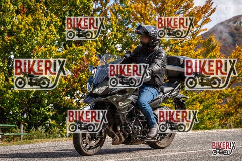 Forca d Acero 18-10-25 h12-36 0317