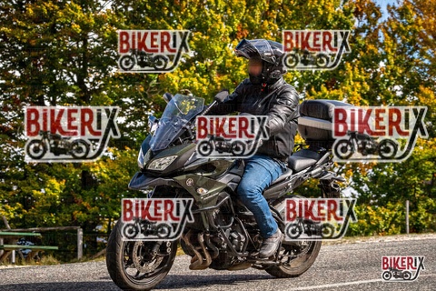 Forca d Acero 18-10-25 h12-36 0319