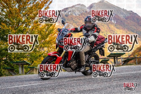 Forca d Acero 18-10-25 h12-43 0333