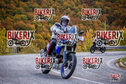 Forca d Acero 18-10-25 h12-43 0341