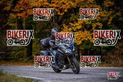 Forca d Acero 18-10-25 h12-47 0378