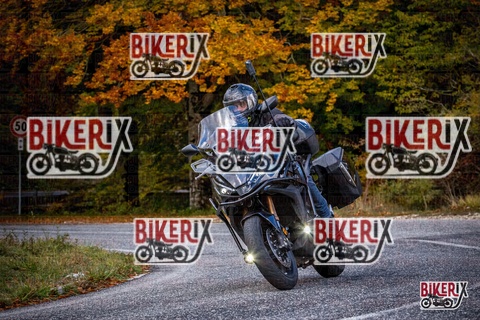 Forca d Acero 18-10-25 h12-47 0381