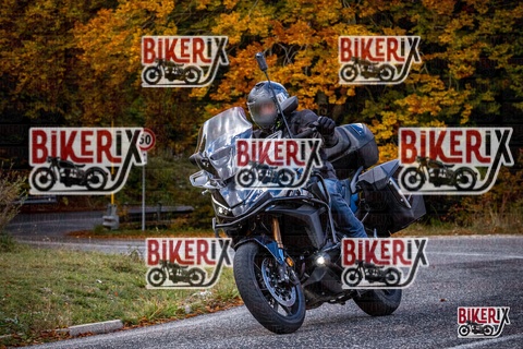 Forca d Acero 18-10-25 h12-47 0382