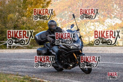 Forca d Acero 18-10-25 h12-47 0386