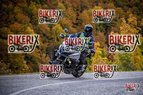 Forca d Acero 18-10-25 h12-50 0390