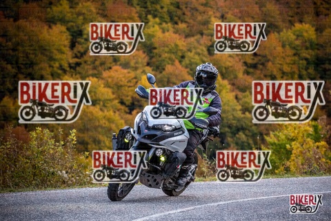 Forca d Acero 18-10-25 h12-50 0391