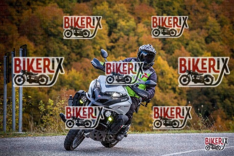 Forca d Acero 18-10-25 h12-50 0392