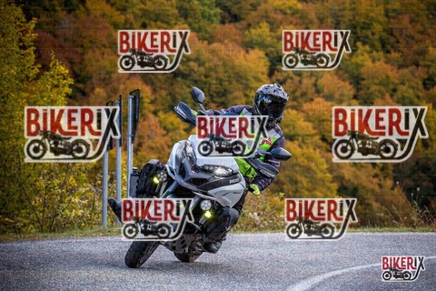 Forca d Acero 18-10-25 h12-50 0393