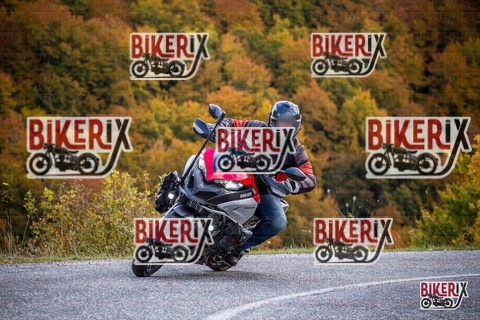 Forca d Acero 18-10-25 h12-50 0398