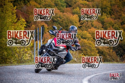 Forca d Acero 18-10-25 h12-50 0399