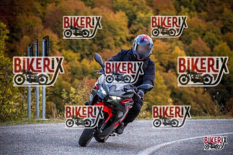 Forca d Acero 18-10-25 h12-50 0402