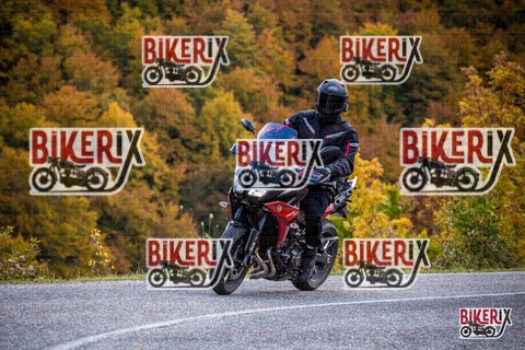 Forca d Acero 18-10-25 h12-50 0406