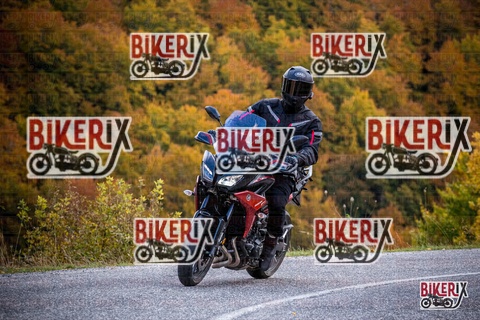 Forca d Acero 18-10-25 h12-50 0408