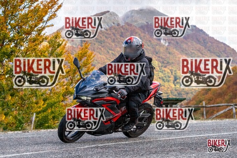 Forca d Acero 18-10-25 h12-50 0415