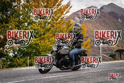 Forca d Acero 18-10-25 h13-06 0449