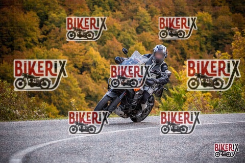 Forca d Acero 18-10-25 h13-06 0453