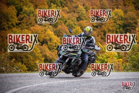 Forca d Acero 18-10-25 h13-11 0475