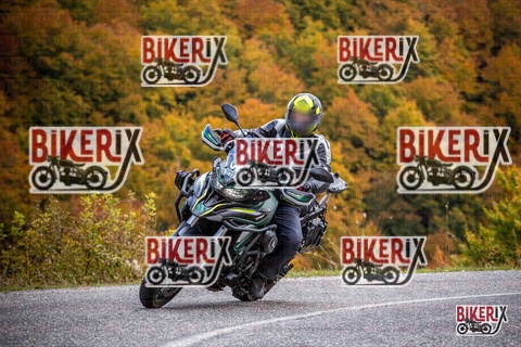 Forca d Acero 18-10-25 h13-11 0476