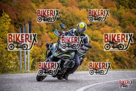 Forca d Acero 18-10-25 h13-11 0477