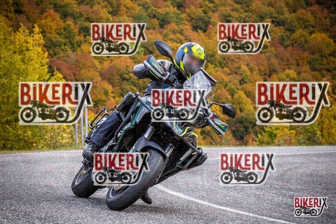 Forca d Acero 18-10-25 h13-11 0479