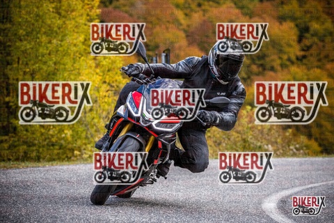 Forca d Acero 18-10-25 h13-11 0481