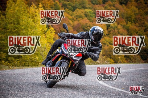 Forca d Acero 18-10-25 h13-11 0482