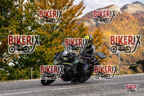 Forca d Acero 18-10-25 h13-11 0484