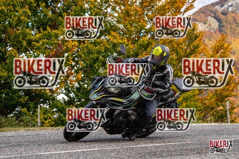 Forca d Acero 18-10-25 h13-11 0485