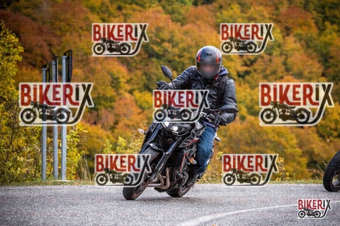 Forca d Acero 18-10-25 h13-11 0496