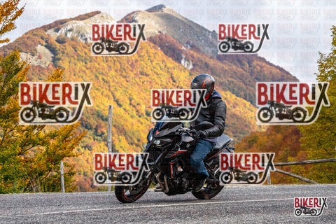 Forca d Acero 18-10-25 h13-12 0503