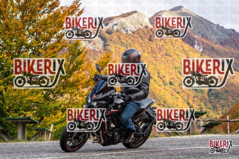 Forca d Acero 18-10-25 h13-12 0504