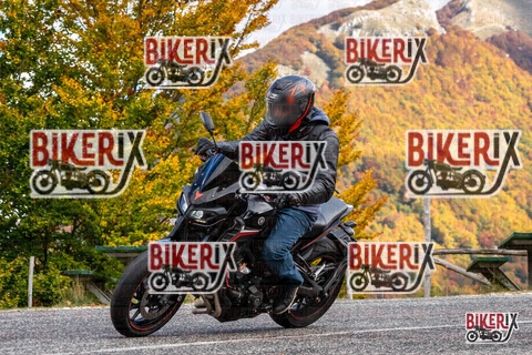 Forca d Acero 18-10-25 h13-12 0505