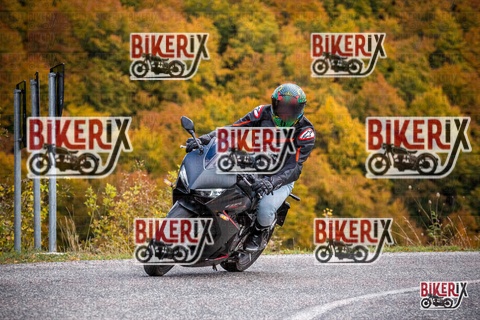 Forca d Acero 18-10-25 h13-14 0516