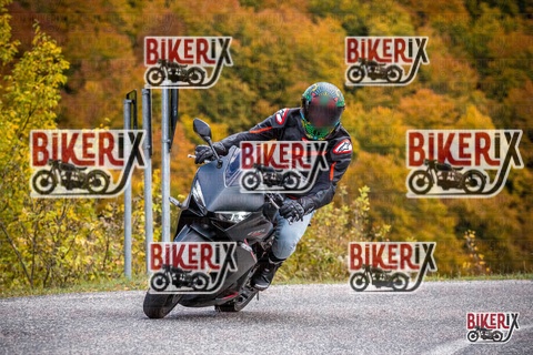 Forca d Acero 18-10-25 h13-14 0517