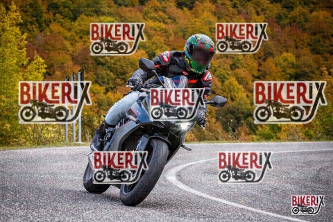 Forca d Acero 18-10-25 h13-14 0519