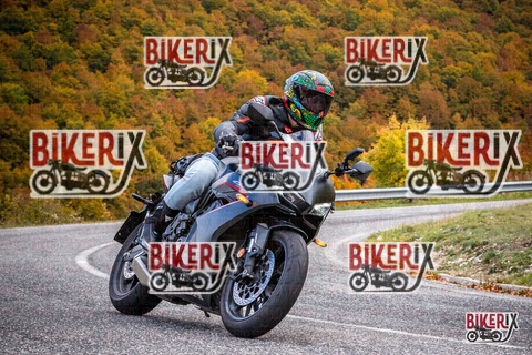 Forca d Acero 18-10-25 h13-14 0520