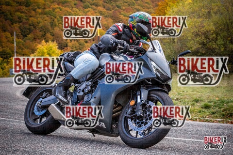 Forca d Acero 18-10-25 h13-14 0521