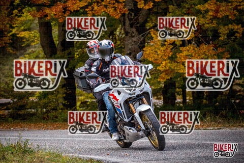 Forca d Acero 18-10-25 h13-15 0522